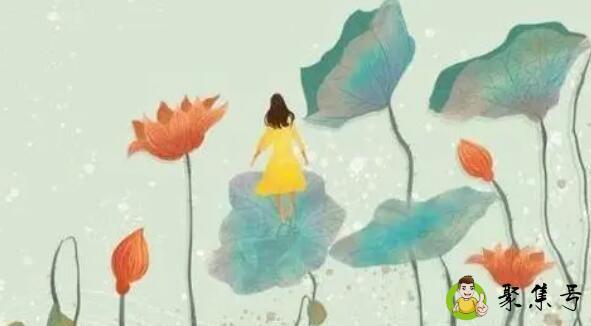 绿茶女和白莲女的区别