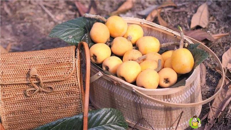 枇杷和牛奶吃了怎么办