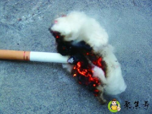 一个烟头大概多重