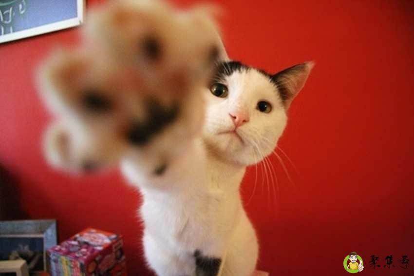 人生如戏全靠演技意思