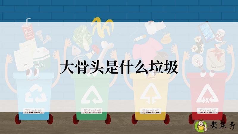 大骨头是什么垃圾