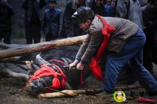 牛皮去毛的方法