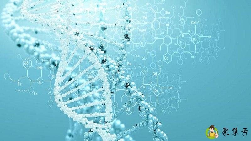 Ai里可以用内容识别吗