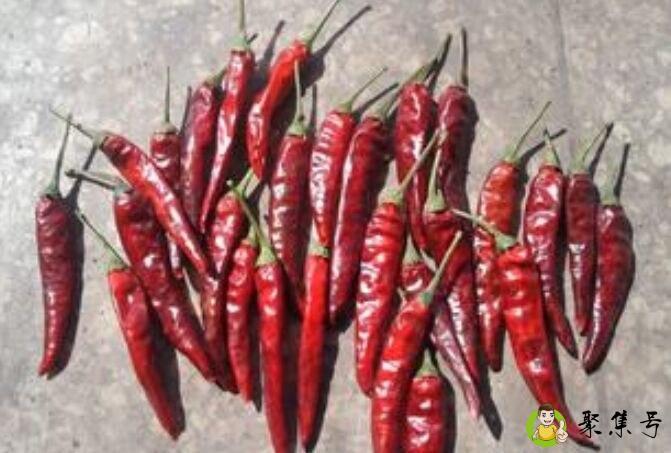 石柱红1,3,5号的区别