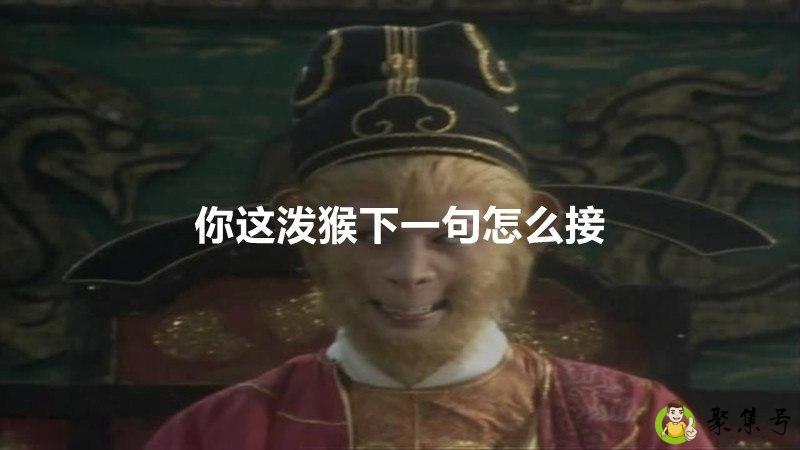 你这泼猴下一句怎么接