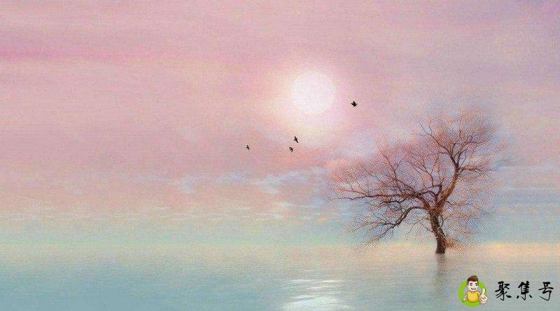 judge是什么意思