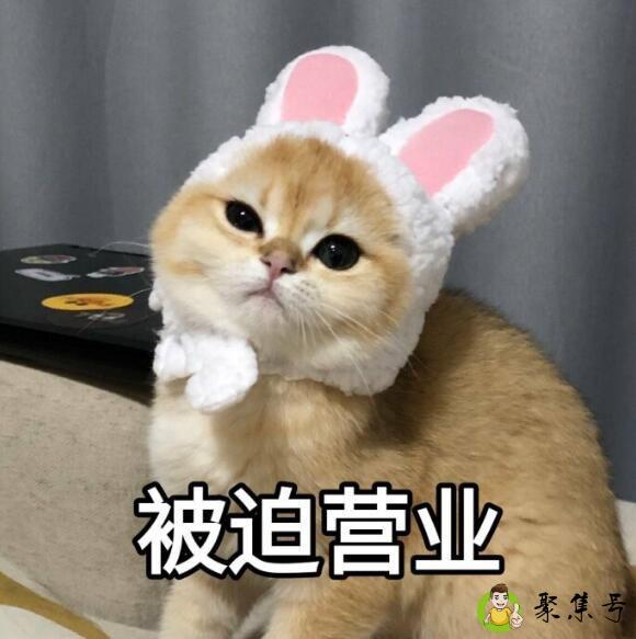 被迫营业用语意思