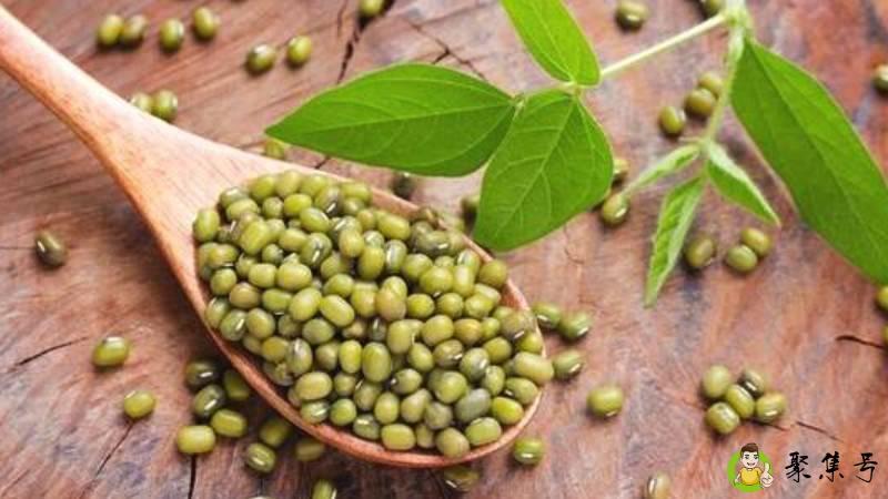 脱皮绿豆和绿豆的区别