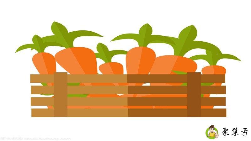 carrot是什么意思