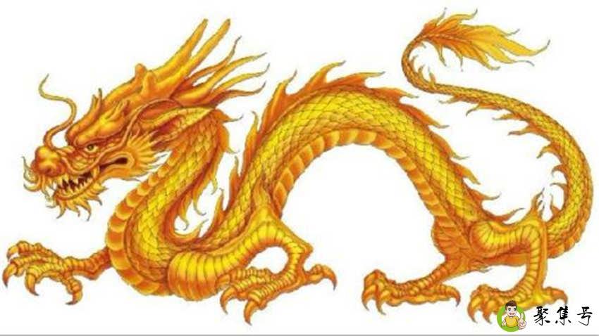 中国到底有没有龙
