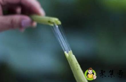 藕断丝连说明还在乎吗