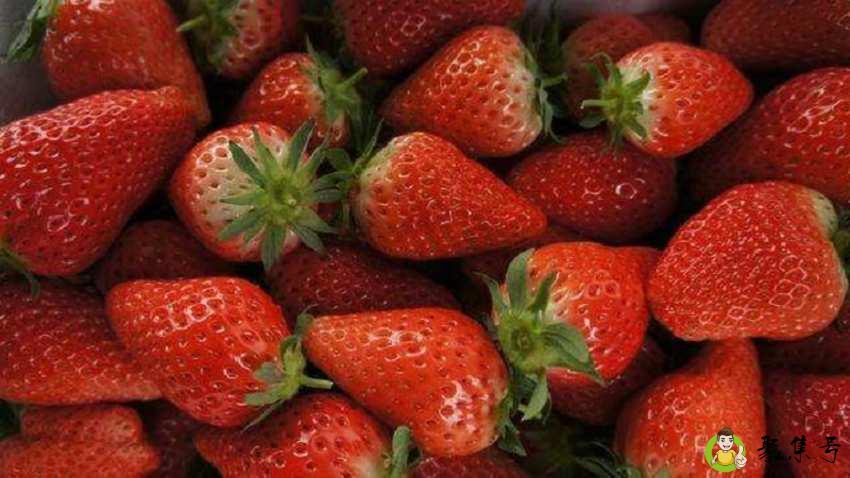 4月份有什么水果上市