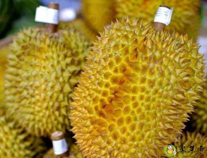 榴莲可以蒸熟吃吗