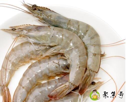 厄瓜多尔白虾营养价值