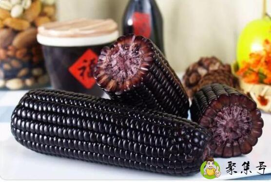 紫玉米的功效与作用点