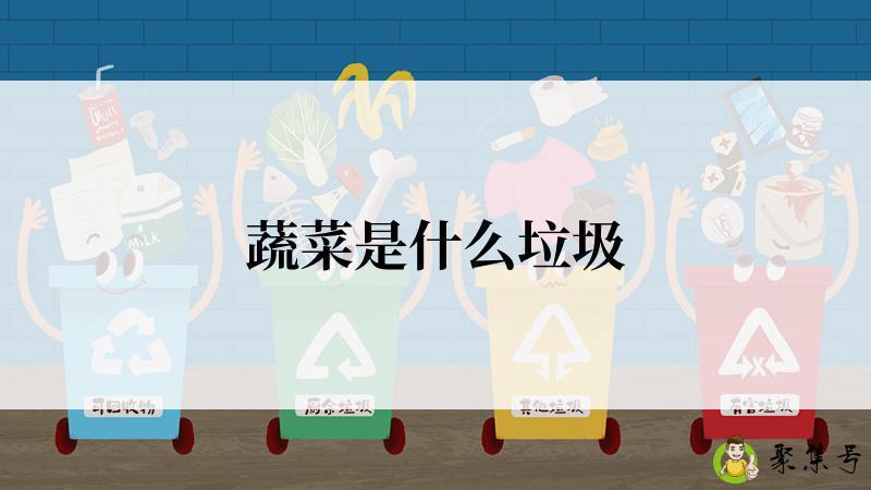 蔬菜是什么垃圾
