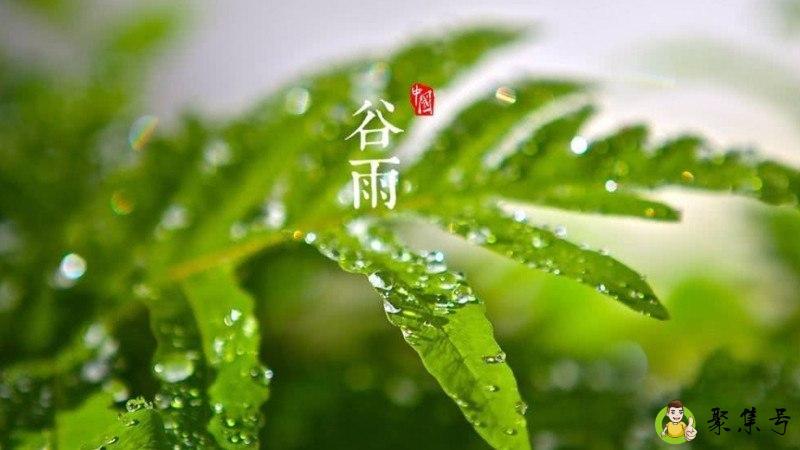 谷雨时节的特点