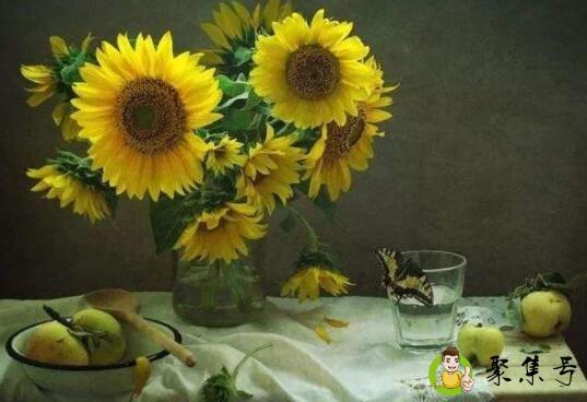 你是我的精神支柱意思