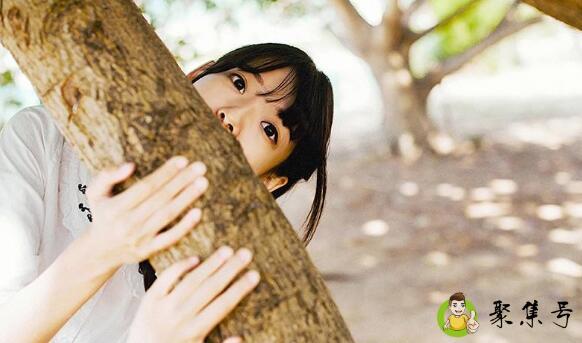 龟毛是什么意思求解释