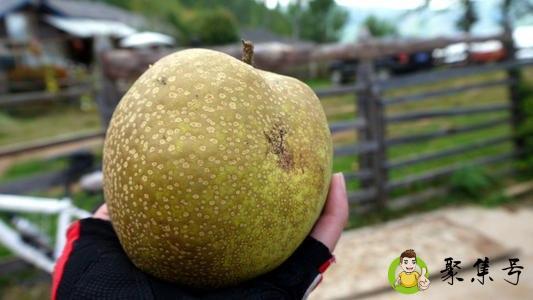 晚上10点可以吃梨吗