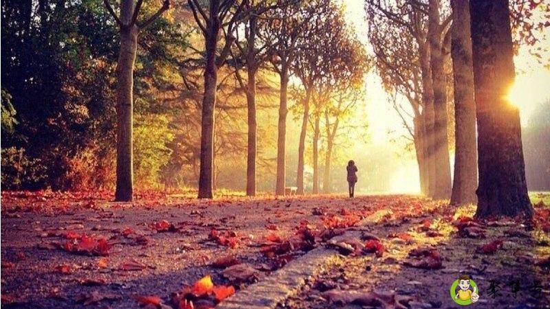 君未归,孤何安意思