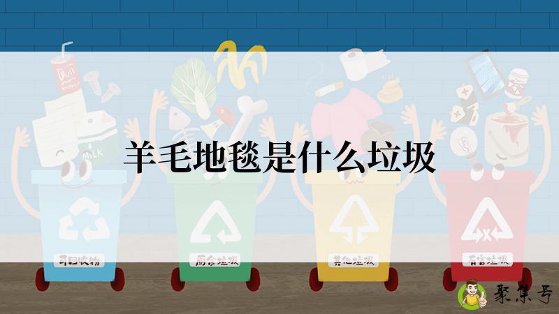 羊毛地毯是什么垃圾