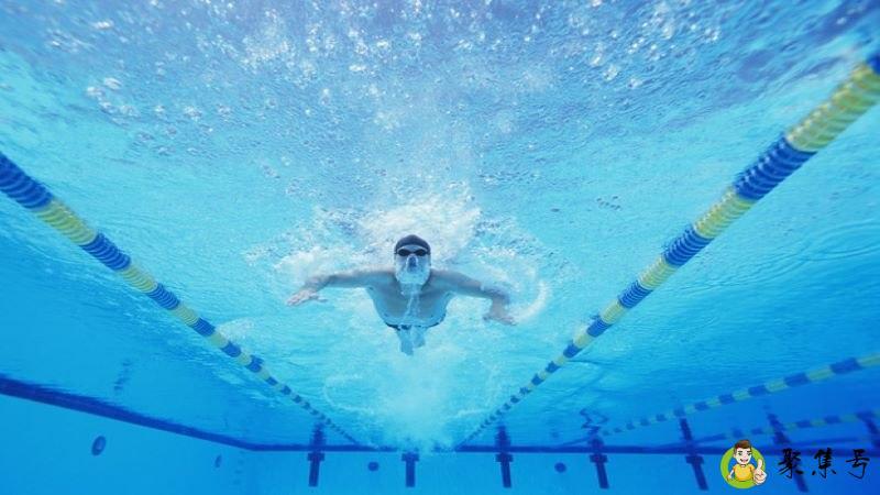 详细阅读:平蛙和波蛙的区别 平蛙和波蛙的区别