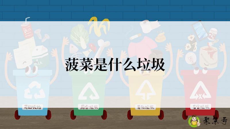 详细阅读:菠菜是什么垃圾 菠菜是什么垃圾