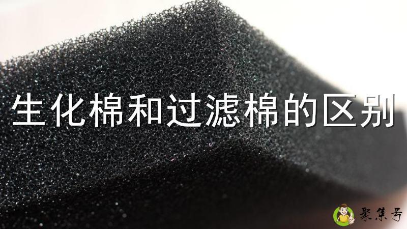 详细阅读:生化棉和过滤棉的区别 生化棉和过滤棉的区别