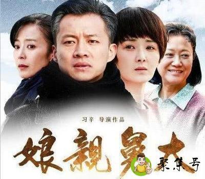 娘亲舅大剧情介绍的是什么