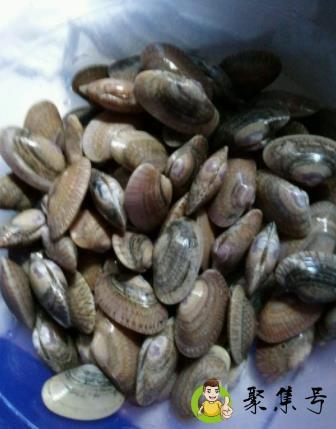 详细阅读:花甲加盐泡一夜会死吗 花甲加盐泡一夜会死吗