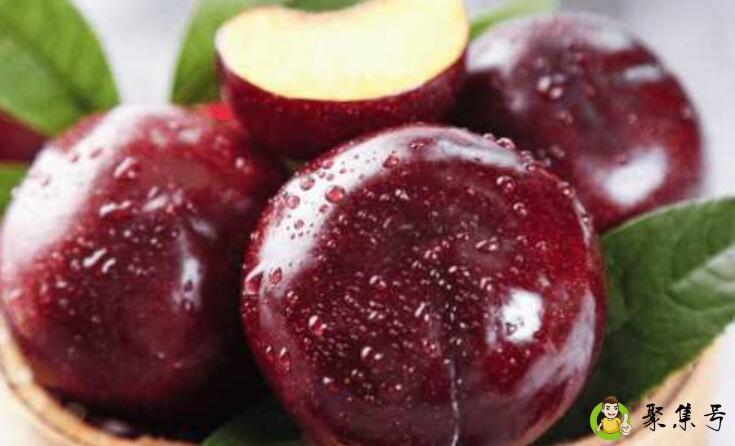 详细阅读:西梅和黑布林的区别 西梅和黑布林的区别