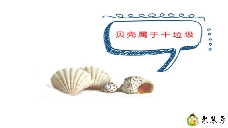 详细阅读:贝壳类属于干垃圾还是湿垃圾 贝壳类属于干垃圾还是湿垃圾