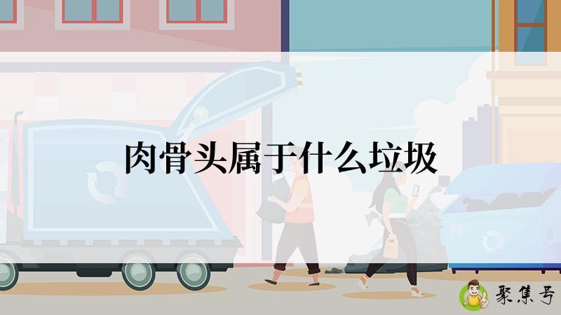 详细阅读:肉骨头属于什么垃圾 肉骨头属于什么垃圾