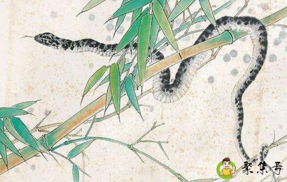 详细阅读:望而却步形容什么生肖 望而却步形容什么生肖