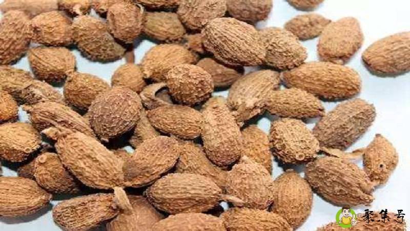 详细阅读:阳春砂和砂仁区别 阳春砂和砂仁区别