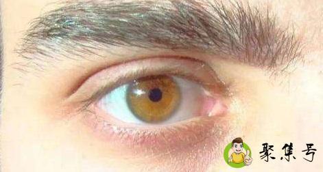 详细阅读:琥珀色眼睛是什么血统 琥珀色眼睛是什么血统