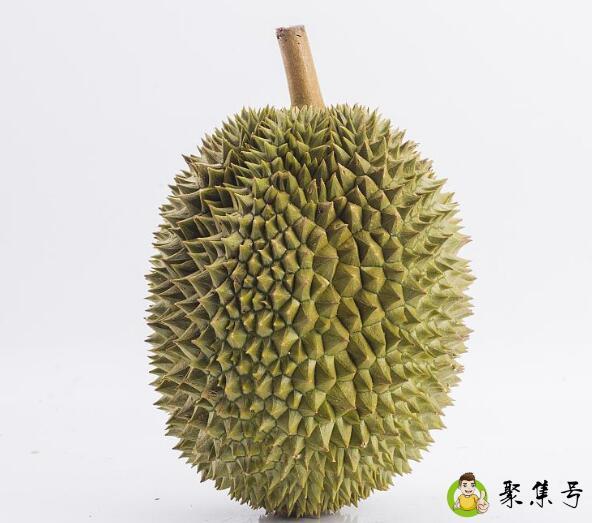 榴莲什么时候当季