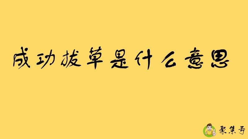 成功拔草是什么意思
