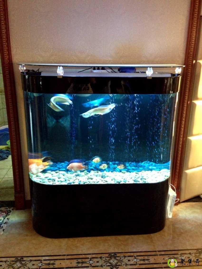 鱼缸绿水变清简单办法