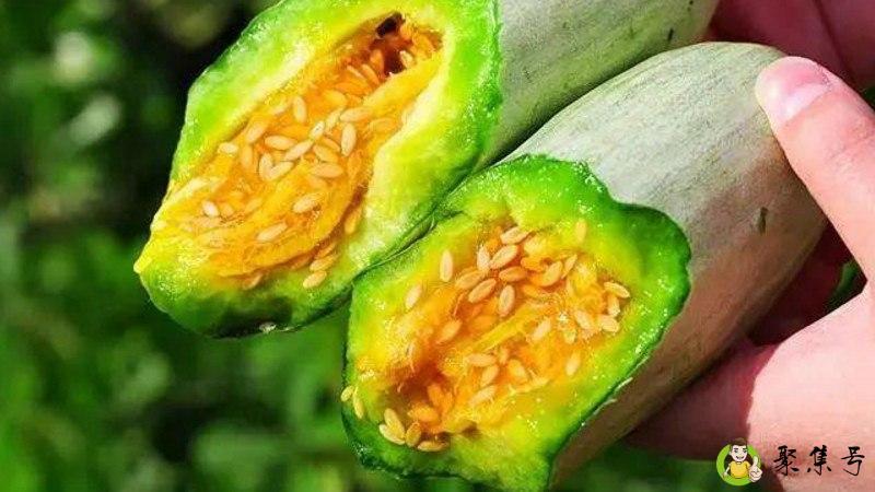 羊角蜜的瓤能吃吗