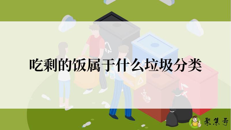吃剩的饭属于什么垃圾分类