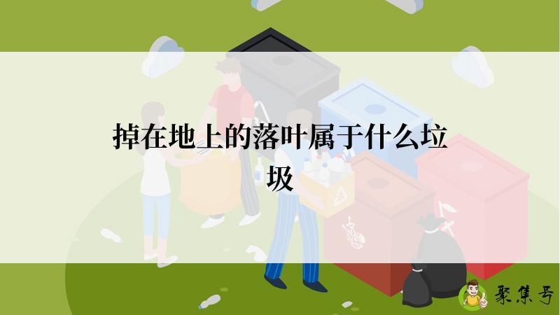 掉在地上的落叶属于什么垃圾