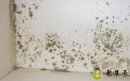 白墙发霉了有什么方法可以去除吗