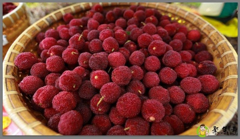 杨梅属于高糖分水果吗