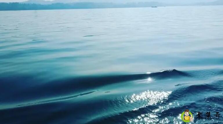 你还留恋那片碧波吗什么意思