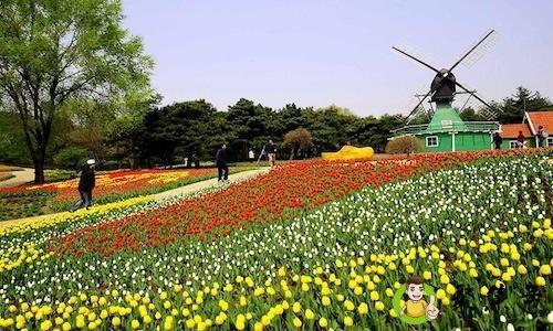 北京世博园开放时间