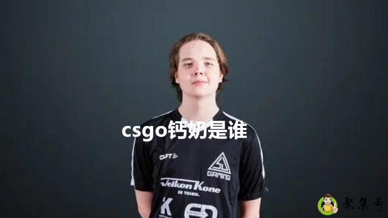 csgo钙奶是谁