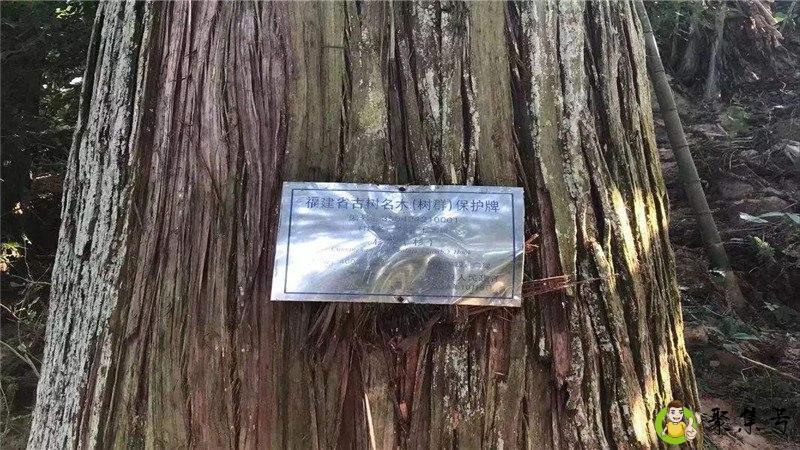 宁化古山墓王群在哪里