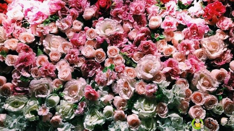 鲜花保鲜在水里放什么